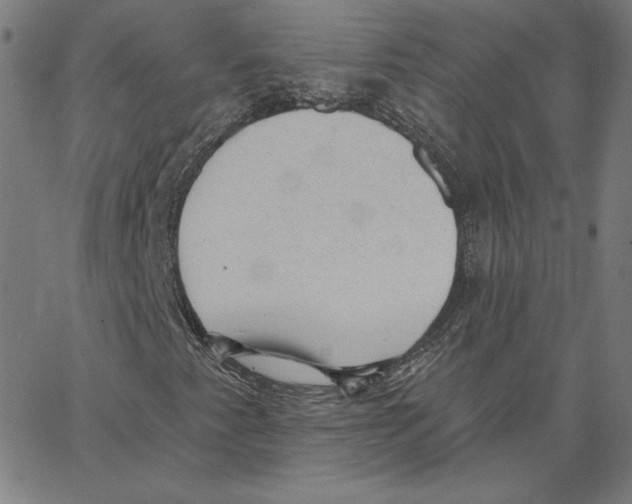 X0000062611345200601181619