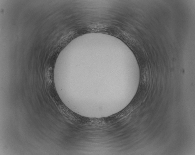 X0000062611346200601181619