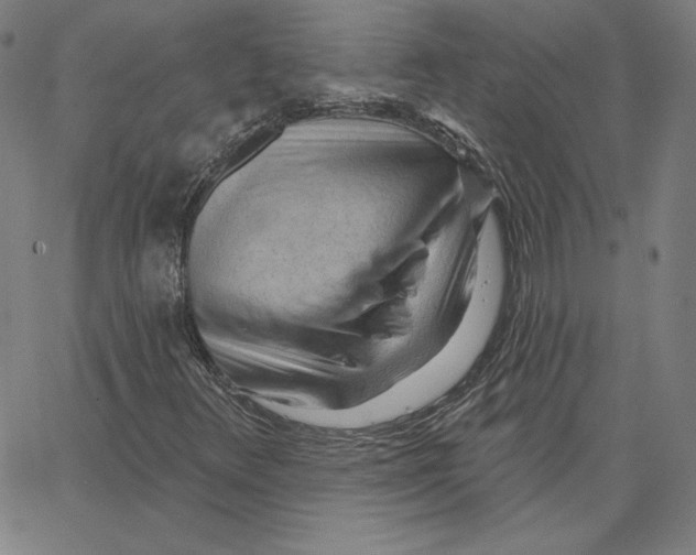 X0000062611348200601181619