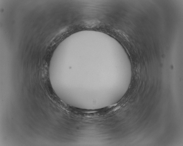 X0000062611349200601181619