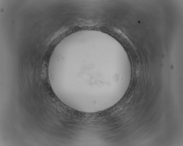 X0000062611350200601181619