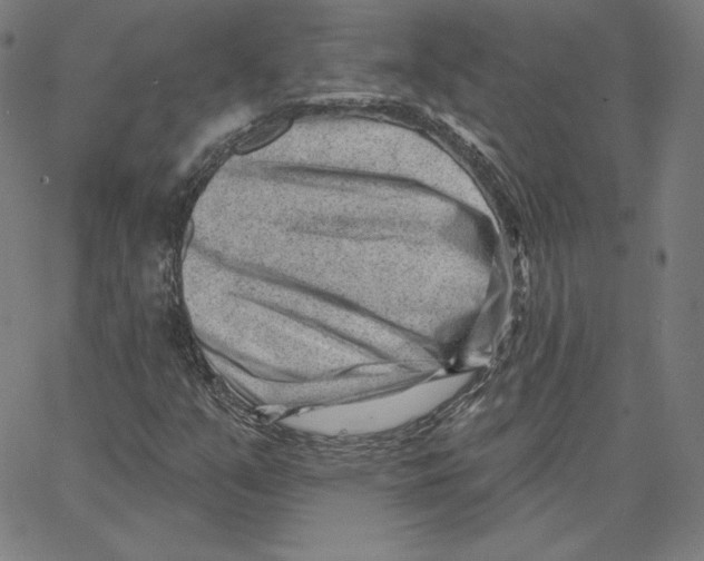 X0000062611351200601181619