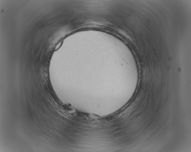 X0000062611355200601181619