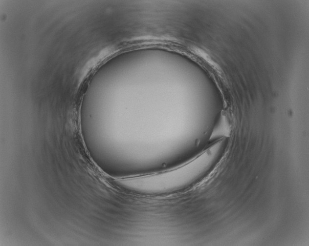 X0000062611357200601181619