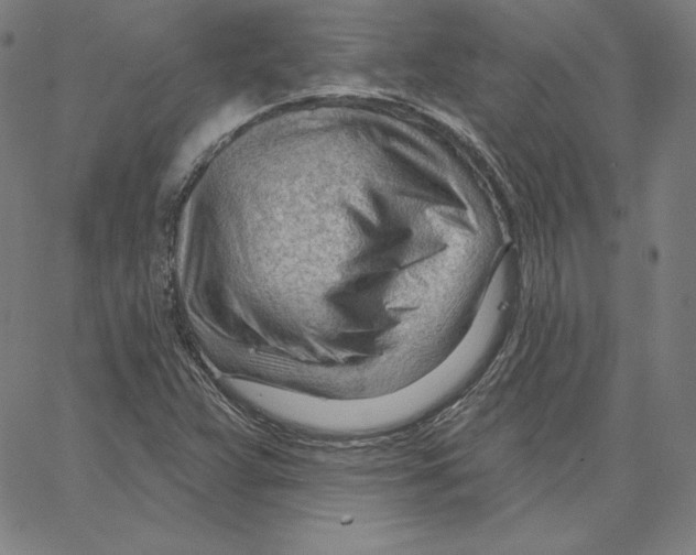 X0000062611359200601181619