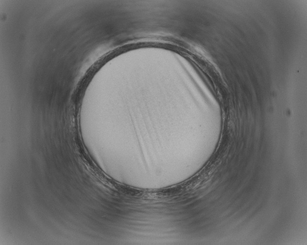 X0000062611360200601181619