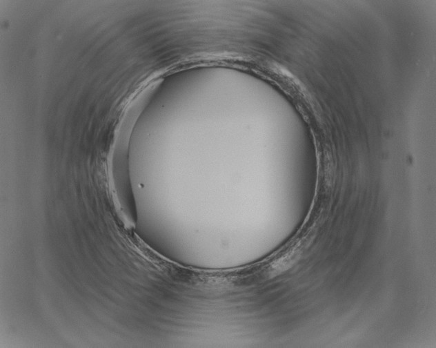 X0000062611361200601181619