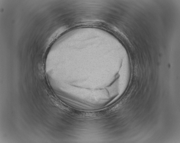 X0000062611362200601181619