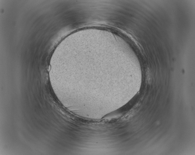 X0000062611363200601181619