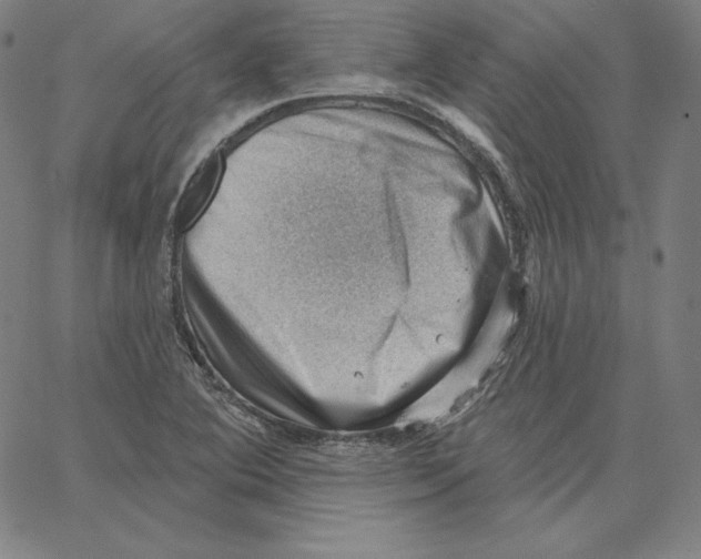 X0000062611364200601181619