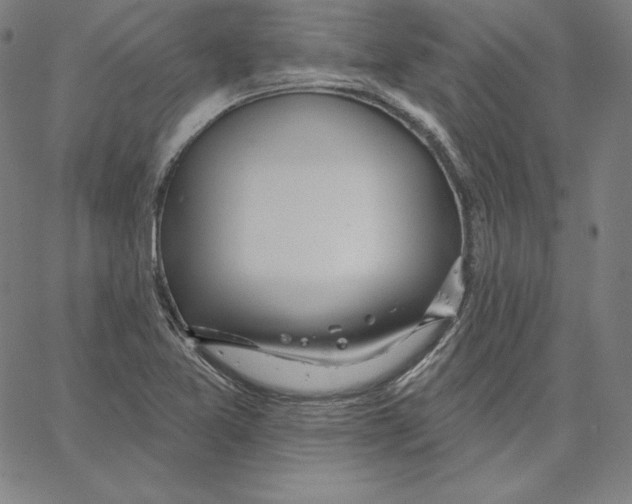 X0000062611365200601181619