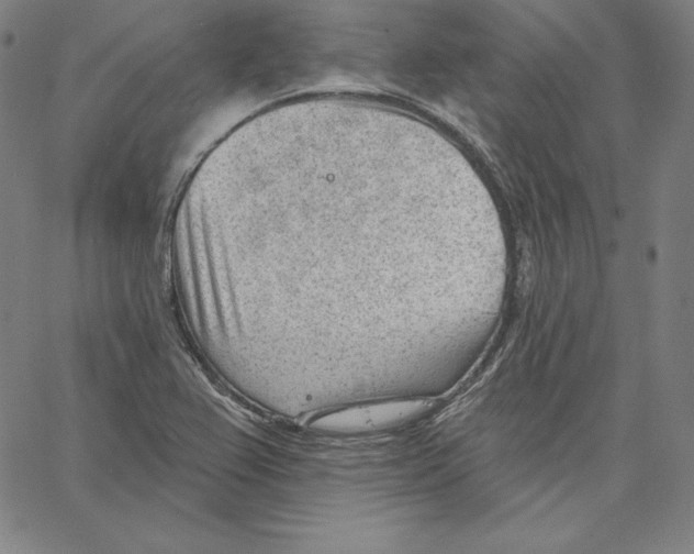 X0000062611367200601181619