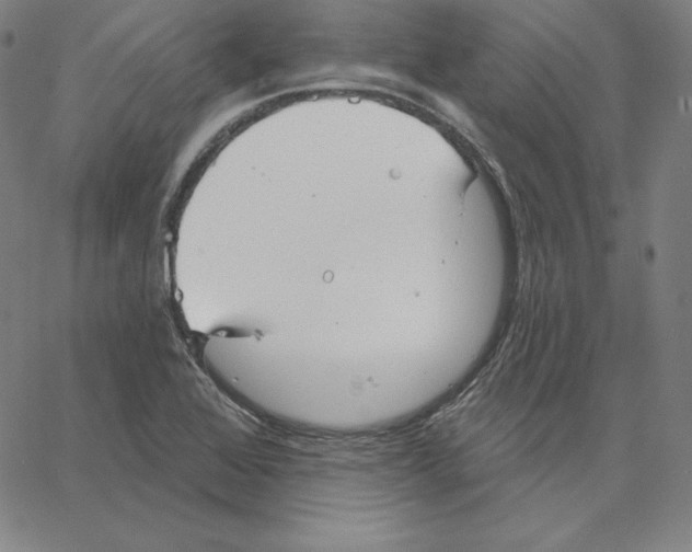 X0000062611368200601181619