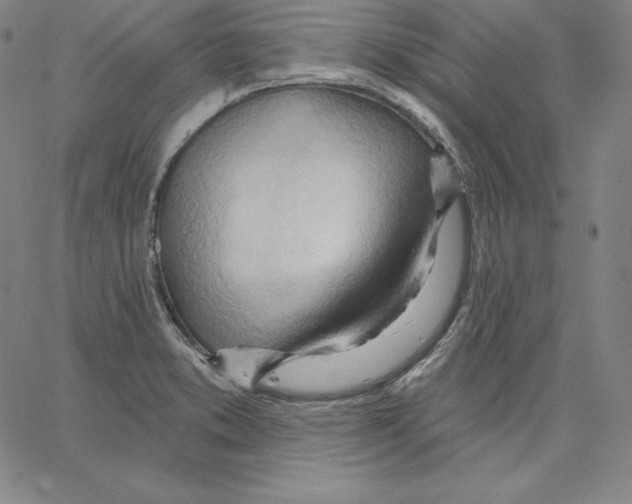 X0000062611373200601181619