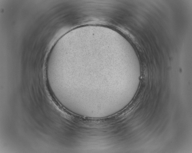 X0000062611375200601181619