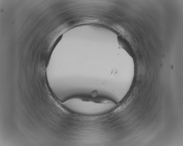 X0000062611377200601181619