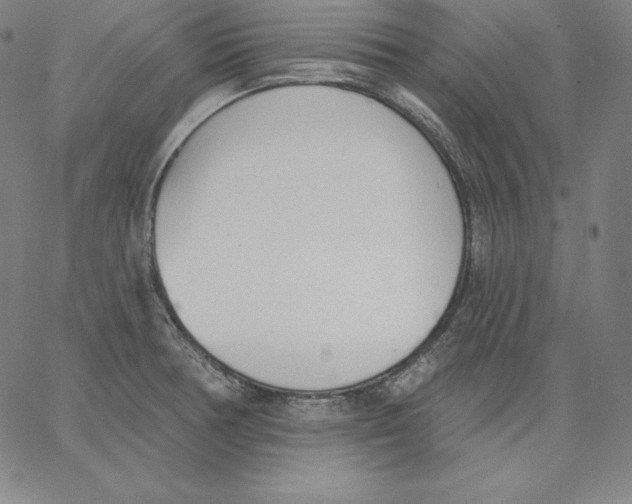 X0000062611378200601181619