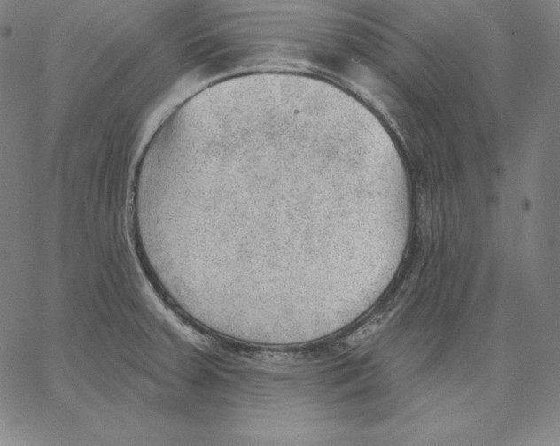 X0000062611379200601181618