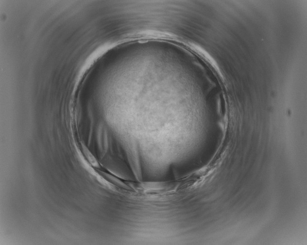 X0000062611381200601181618