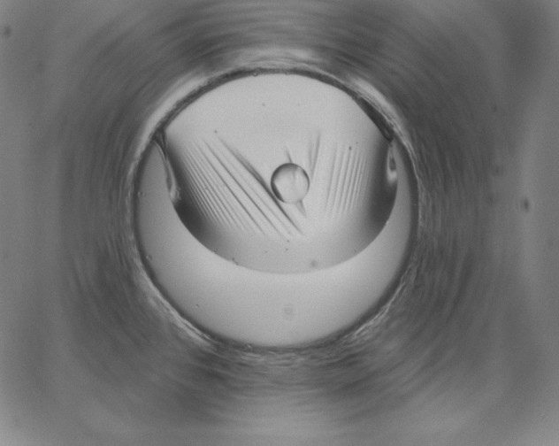 X0000062611384200601181618