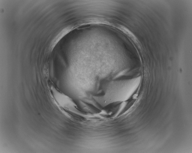 X0000062611385200601181618