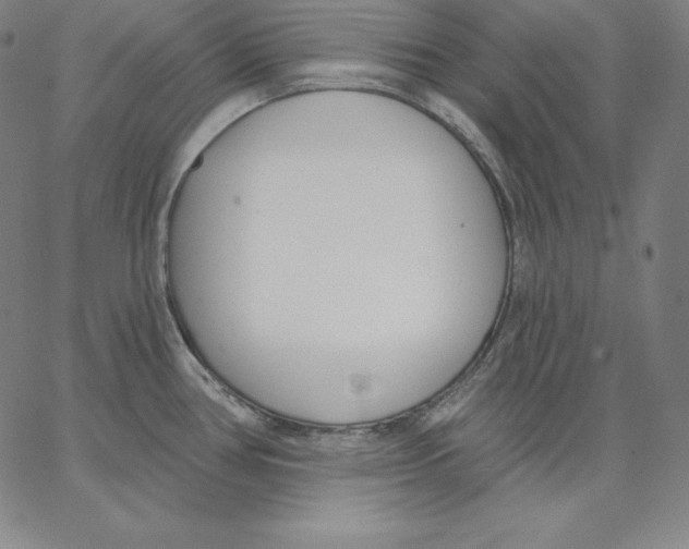 X0000062611386200601181618