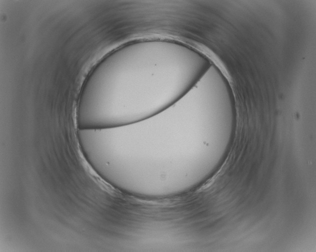 X0000062611388200601181618