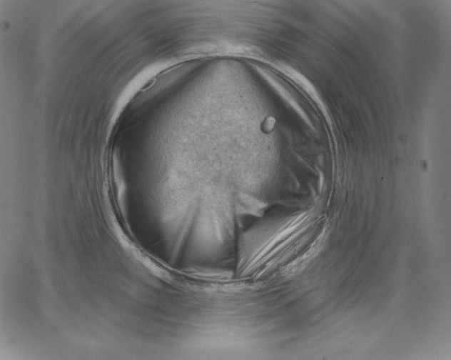 X0000062611389200601181618