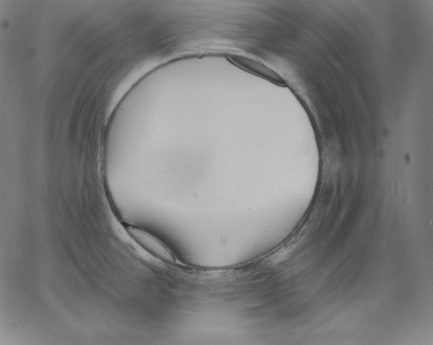 X0000062611390200601181618