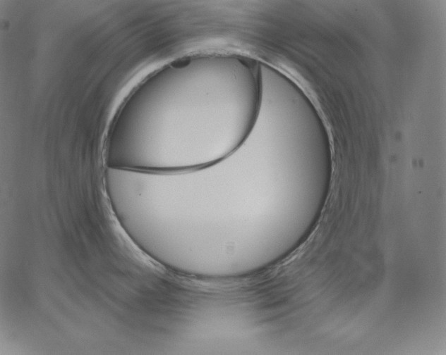 X0000062611392200601181618