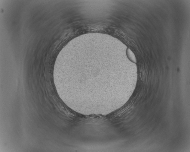 X0000062611393200601181618