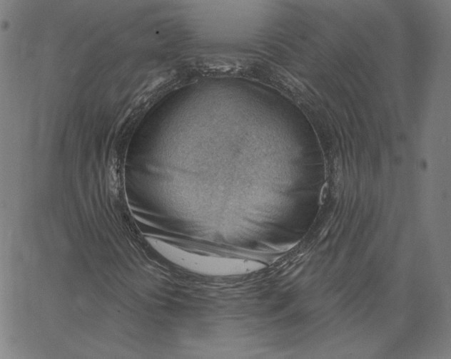 X0000062611394200601181618