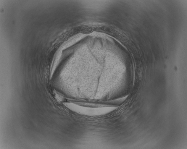 X0000062611397200601181618