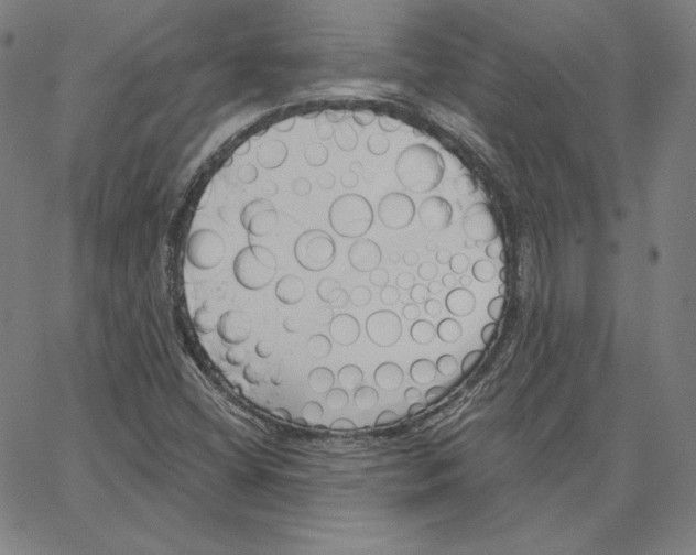 X0000062611404200601181618