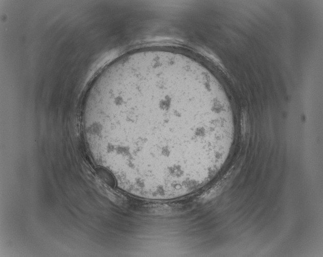 X0000062611405200601181618