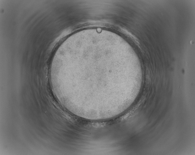 X0000062611411200601181618