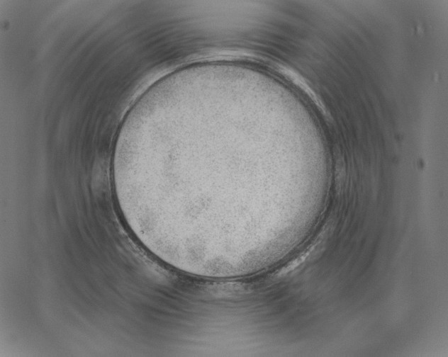 X0000062611417200601181618