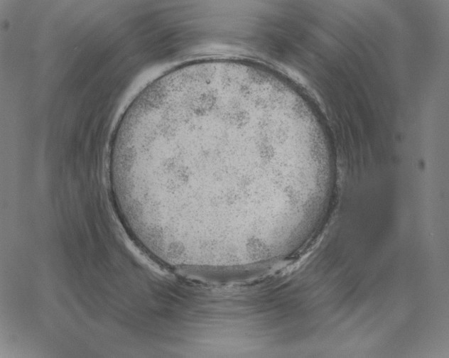 X0000062611421200601181618