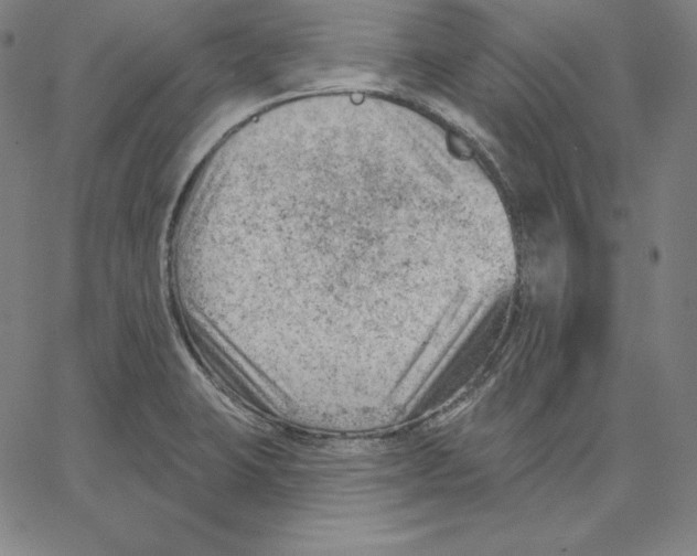 X0000062611423200601181618