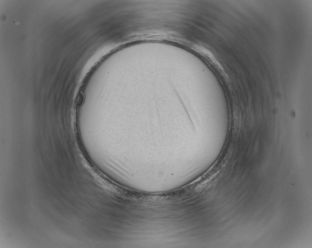 X0000062611424200601181618