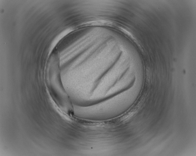 X0000062611426200601181618