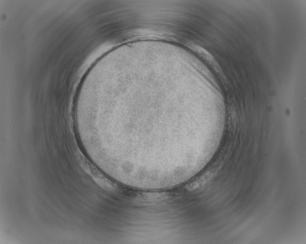 X0000062611427200601181618