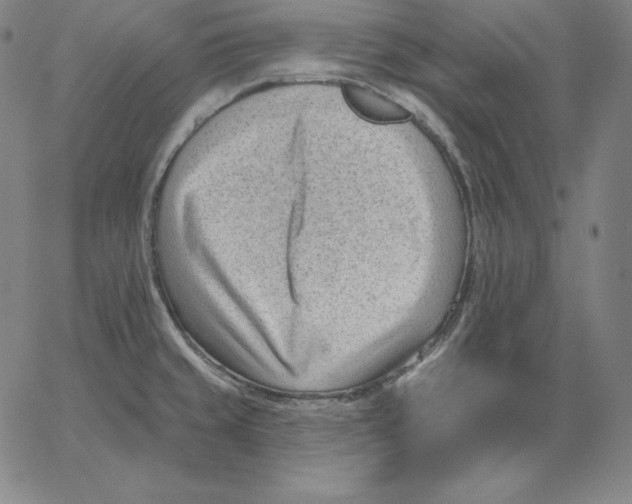 X0000062611429200601181618