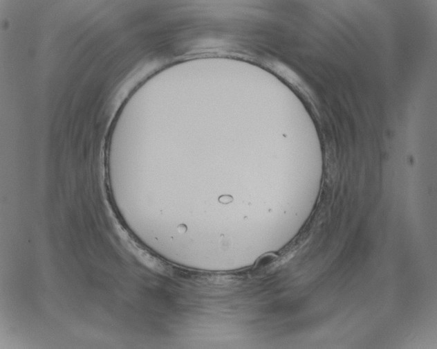 X0000062611431200601181618