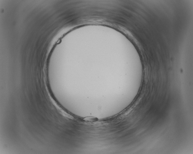 X0000062611432200601181618