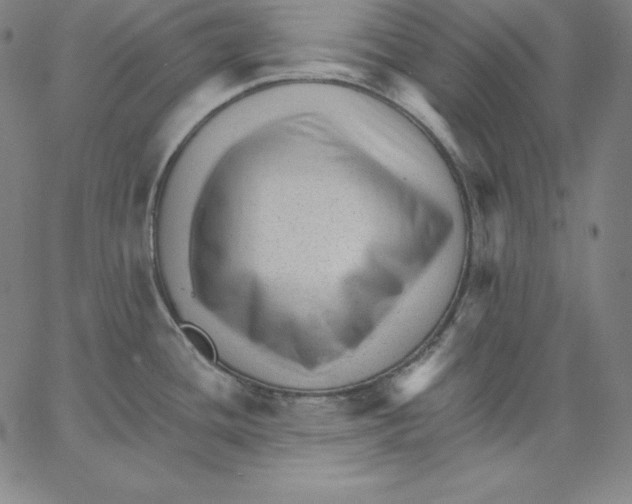 X0000062611436200601181618