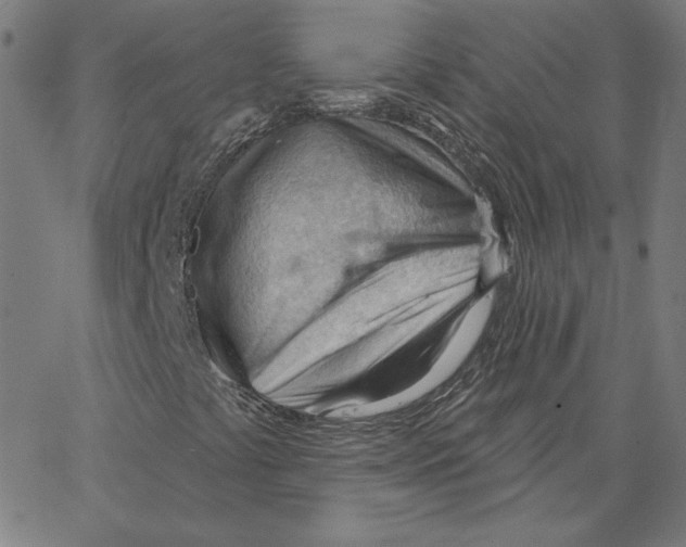 X0000062611441200601181617