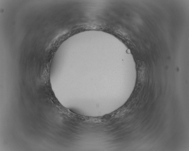 X0000062611446200601181617