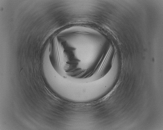 X0000062611449200601181617