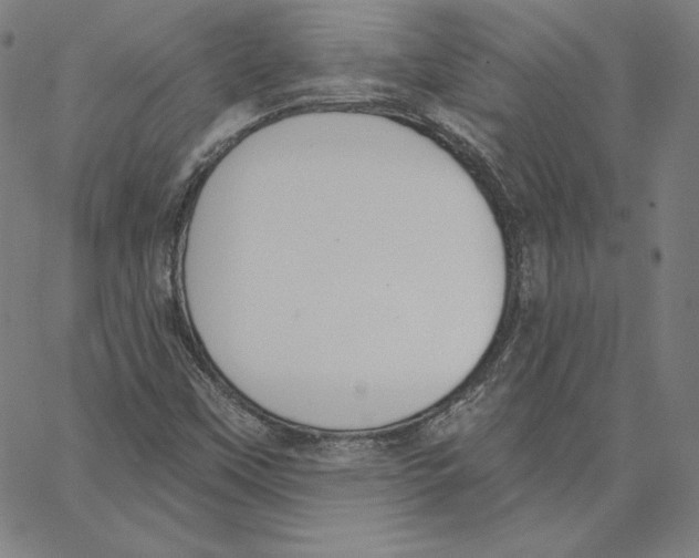 X0000062611451200601181617